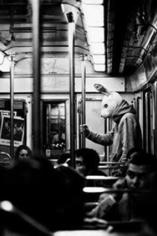 black and white bunny on the underground